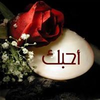 إبراهيم أيوب