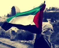 محمود حميدة