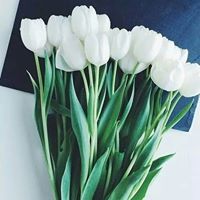 زينب صلاح الدين