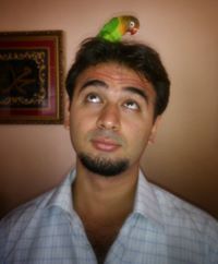 مهدي الشريفي