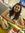 Swati C...