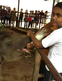 Raghunandan Ramanathan