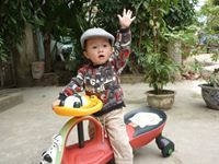 Lan Anh