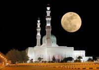 أسامة بن حداد