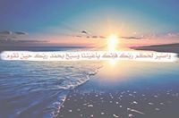 محمد الجندى