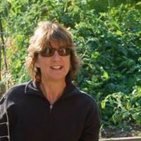 Joyce Korab