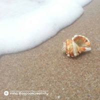 فتى الإسلام