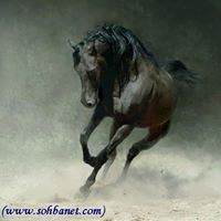 تامر الكمار