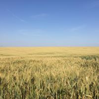 Андрій Баран