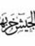 Heba Helmy