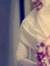 Marwa R...