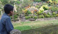 Adi Setia x