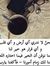 Beto Arif