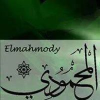 Fly Elmahmody