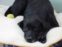 Marybeth Vanderwarker