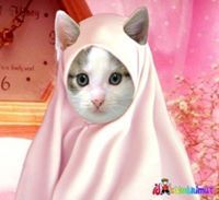 Muhammad Afif