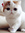 Gwaxa | 350 comments