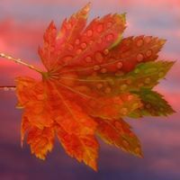 Jamie Jones wolfenstein