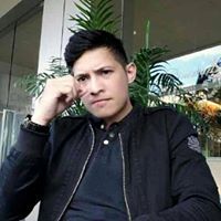 Dinmax Erratic