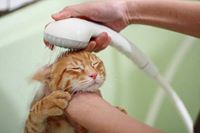 咏迪 周