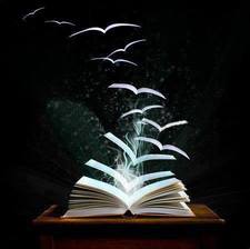 هـاجـر صـفـا