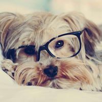 Arantza Batidas-scout