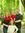 Steve Evans | 3 comments