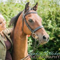 Debbie Barker-runiewicz