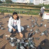 محمد الوحيشي