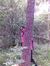 Pooja P...