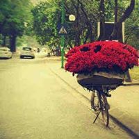 محمد البدراني