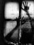 Shannon Squires