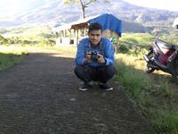 Harry Nov