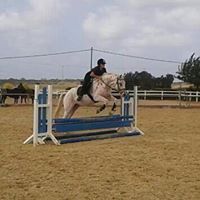 מיכל ישראלי