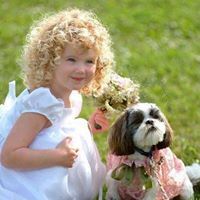 マフムード 同名の人