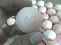 หลวง จตุรงค์