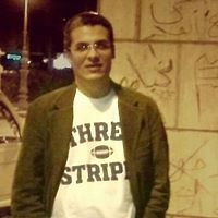 Walid Elmarsafawy