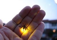 عبدالحميد الصويعي