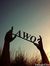 Awo Ahmed