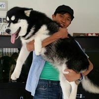 Tri Ly-nguyen