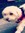 Sammy | 25 comments