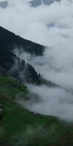 نايف المالكي