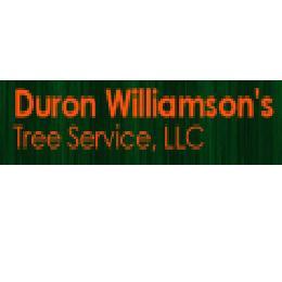 Goodreads profile picture for @williamson
