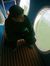 Firas E...