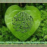 مصطفى عبدالرحمن أحمد