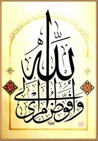 Ahmed Elsayed