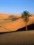 Mohammed Adly