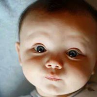 Ahmed Kamel
