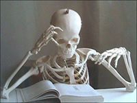 نادر المصري