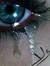 Basem N...